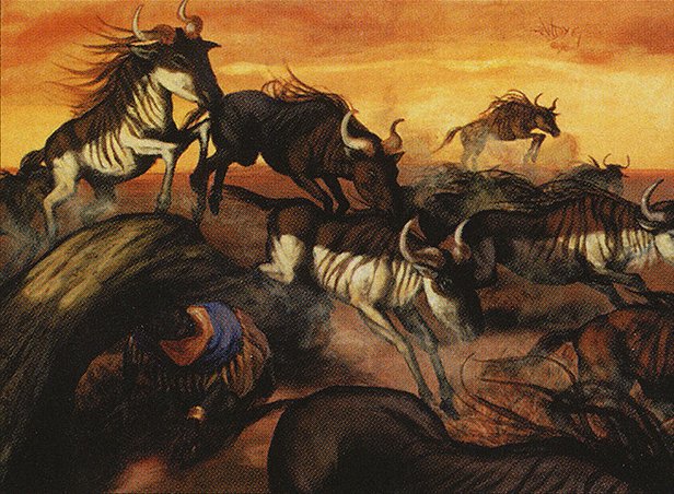 Stampeding Wildebeests