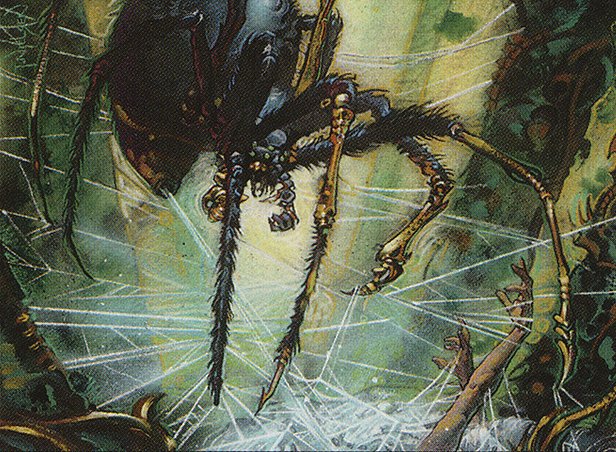 Tangle Spider