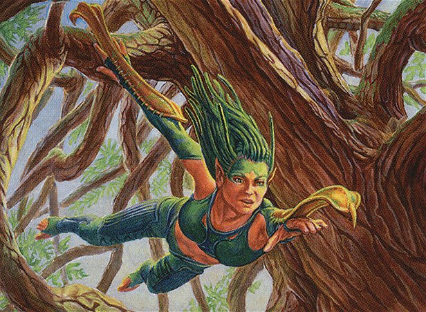 Treetop Bracers