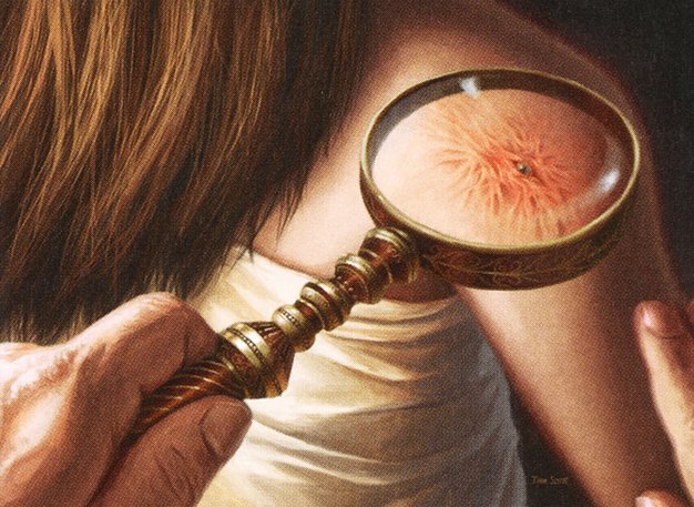 Magnifying Glass