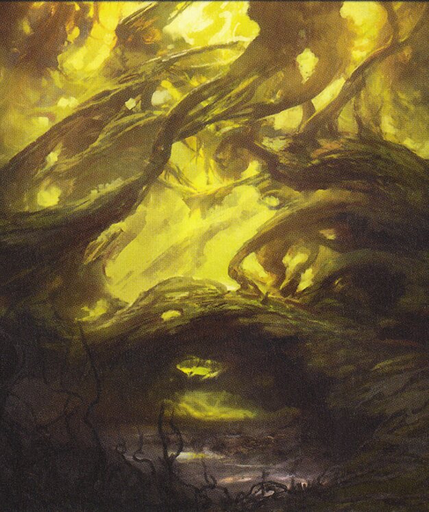 Swamp