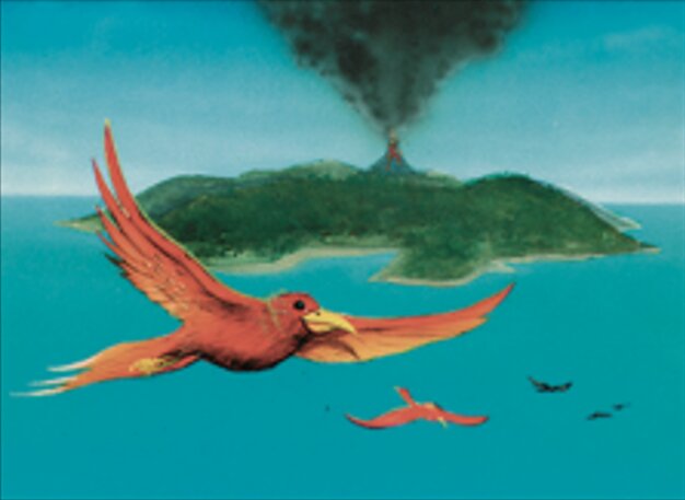 Birds of Paradise