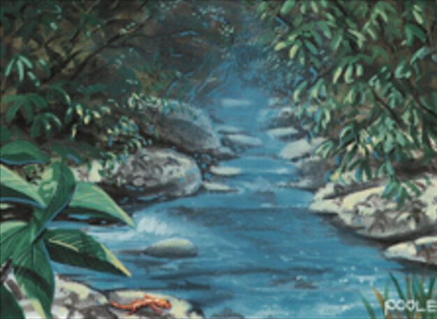 Stream of Life