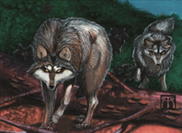 Timber Wolves
