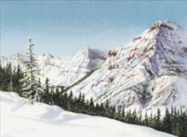 Taiga