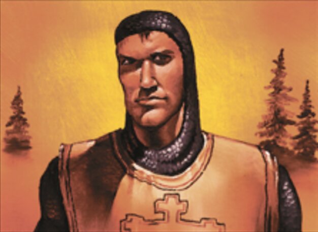 Northern Paladin