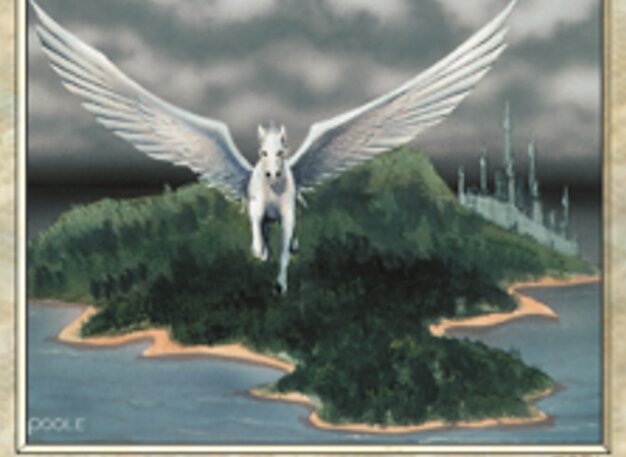 Island Sanctuary