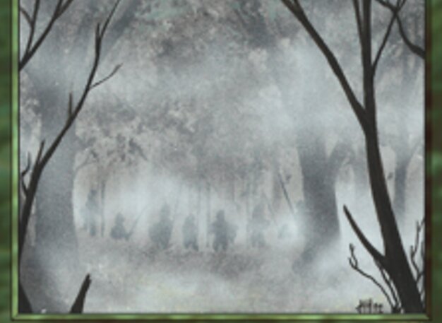 Fog