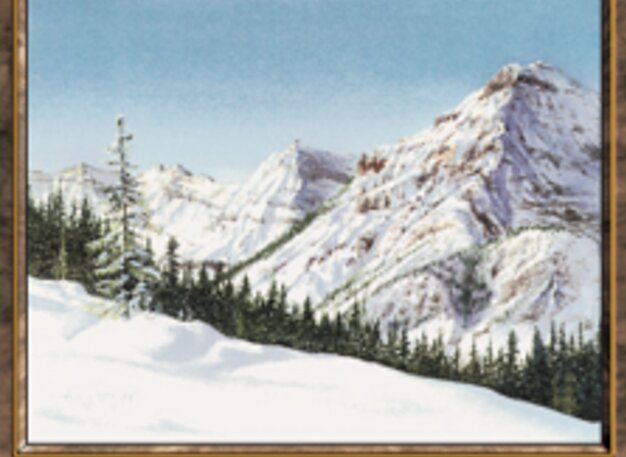 Taiga