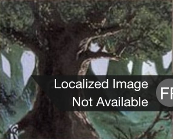 Forêt