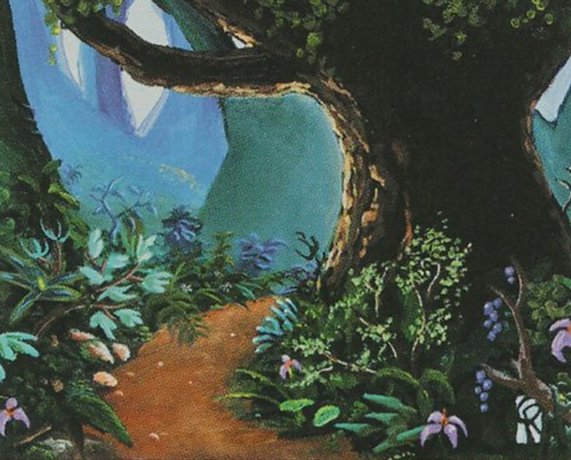 Forêt