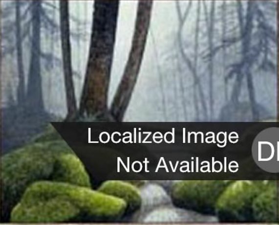 Wald