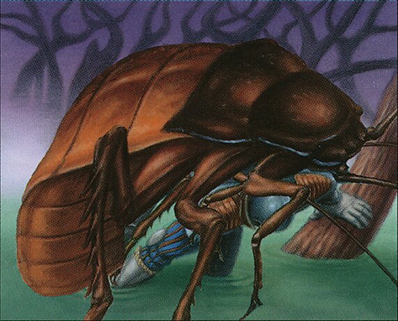 Giant Cockroach