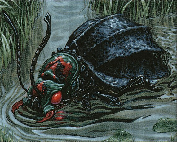 Plague Beetle
