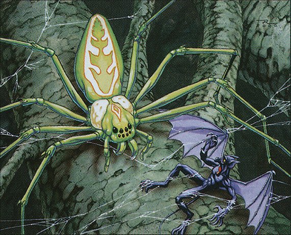 Canopy Spider