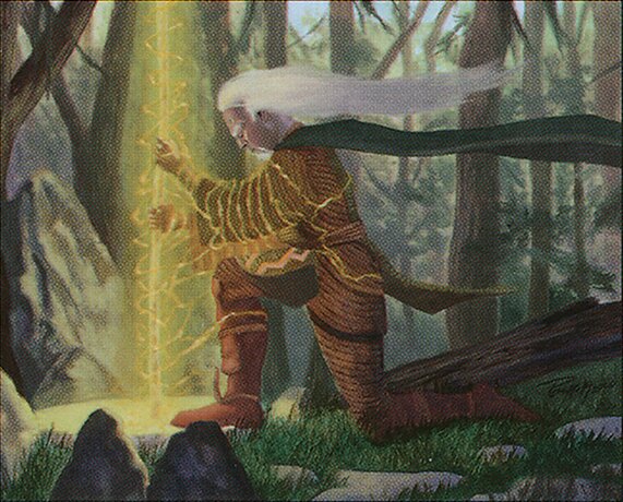 Elder Druid