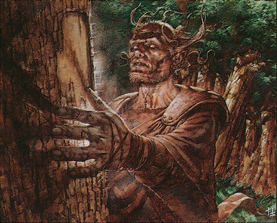 Fyndhorn Elder
