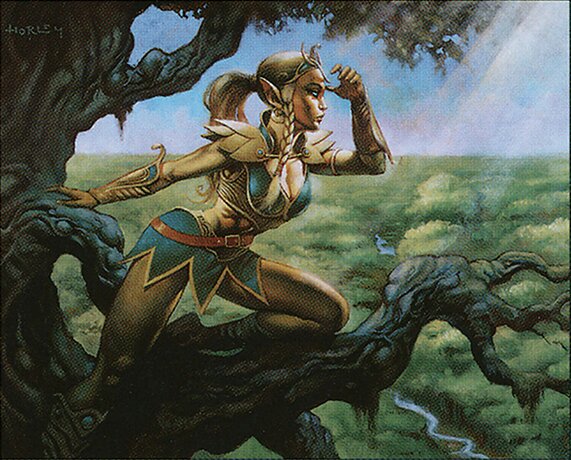 Seeker of Skybreak