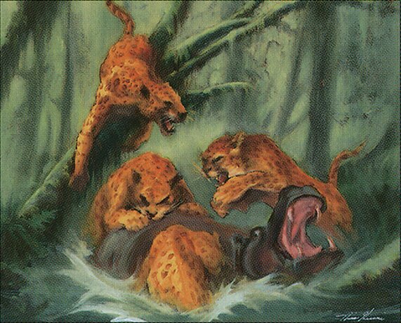 Uktabi Wildcats