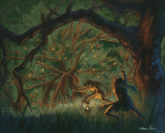 Untamed Wilds