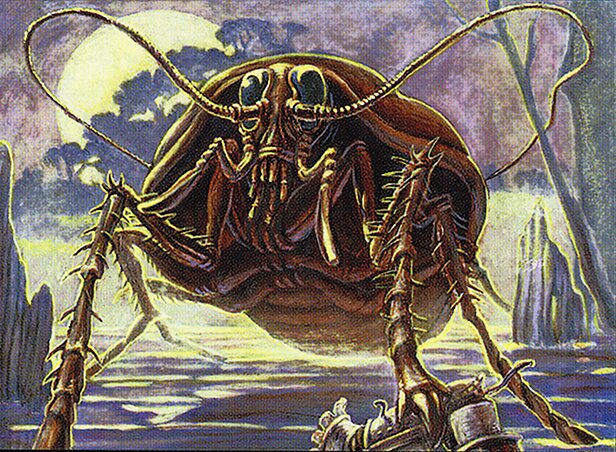 Giant Cockroach