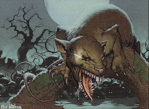 Swarm of Rats