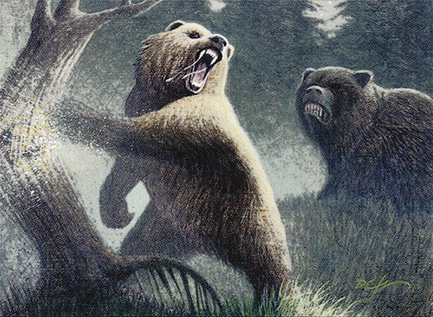 Grizzly Bears