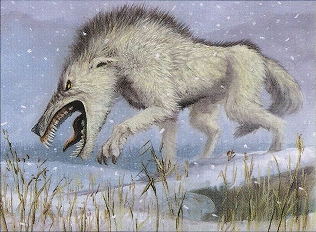 Tundra Wolves