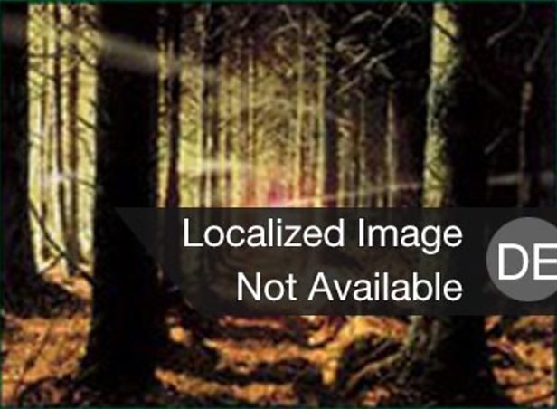 Wald