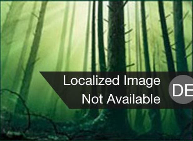 Wald