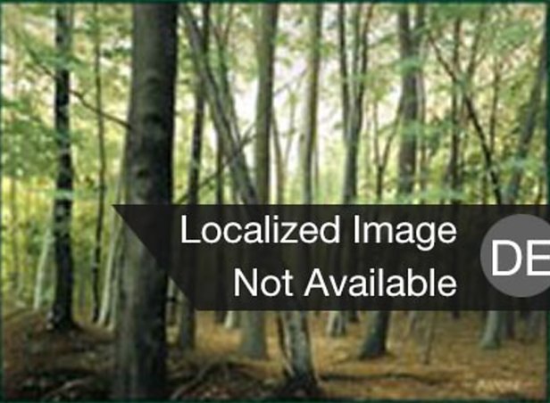 Wald
