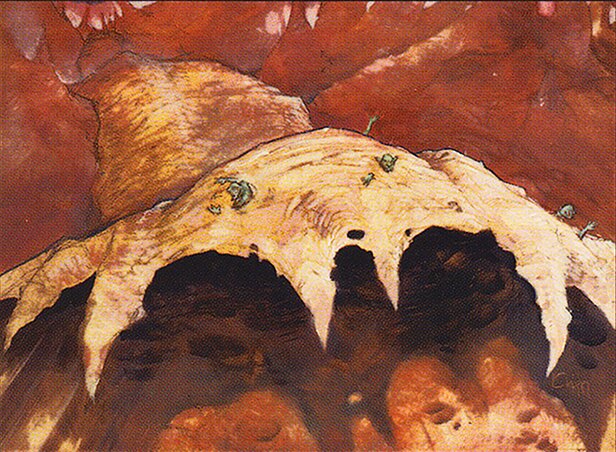Flowstone Slide