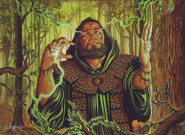 Ley Druid