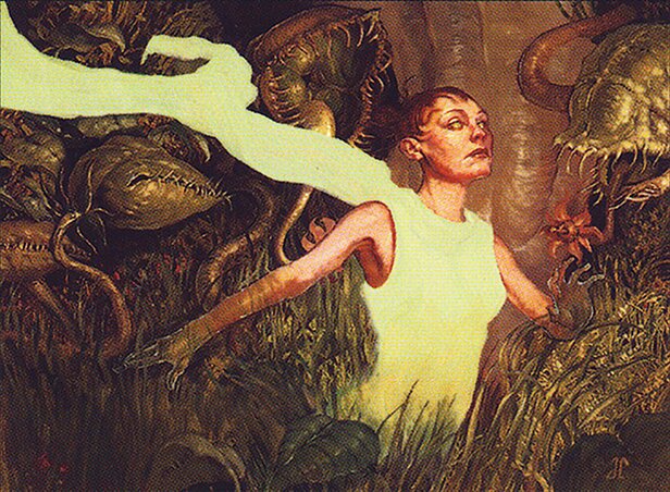 Seedborn Muse