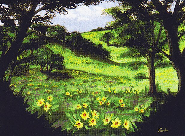 Summer Bloom