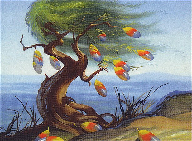 Utopia Tree
