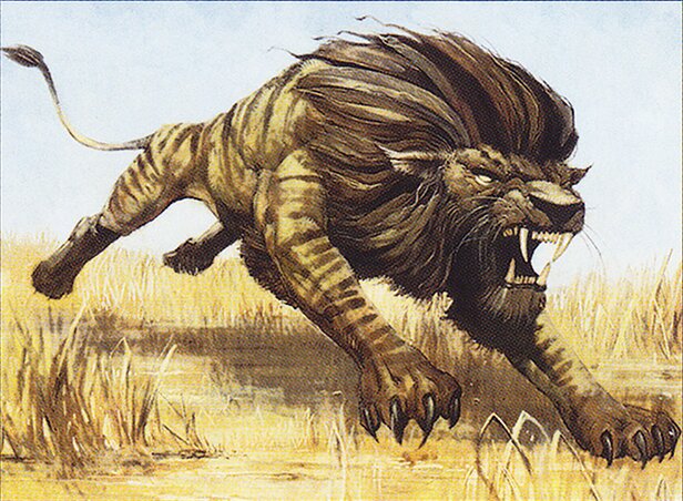 Savannah Lions