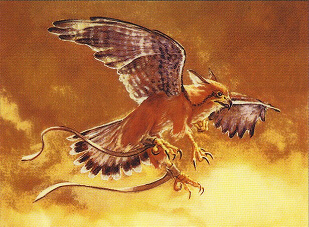 Suntail Hawk