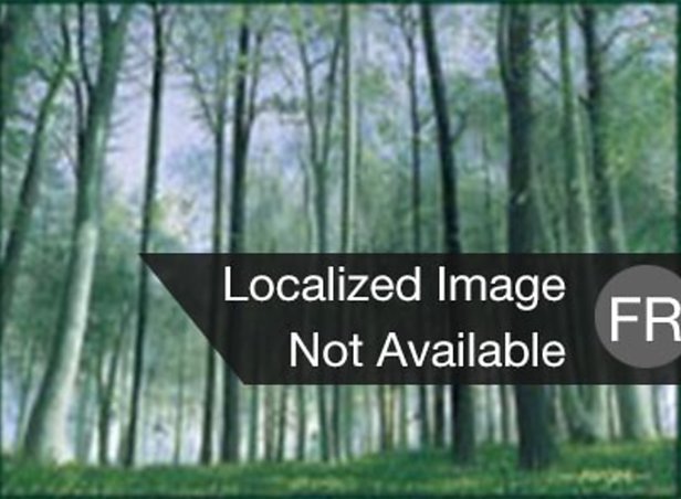 Forêt