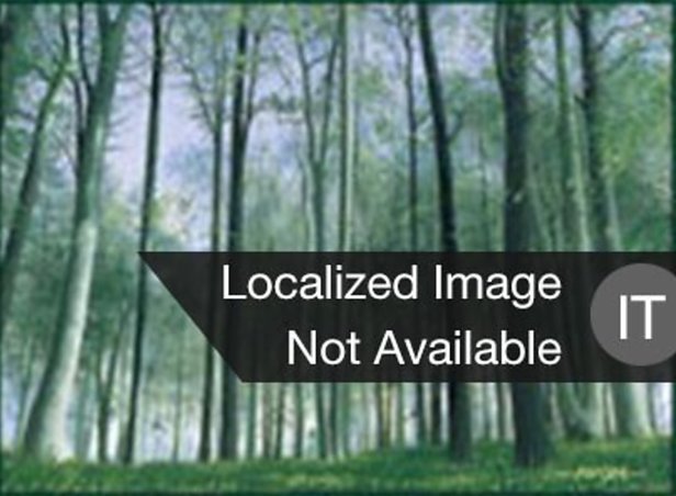 Foresta