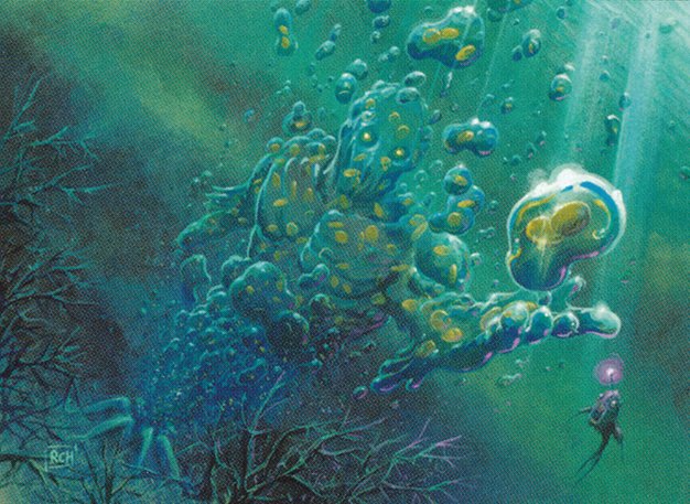Fathom Seer