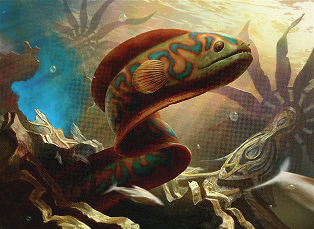 Shipwreck Moray