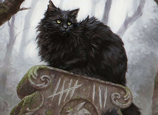 Nine-Lives Familiar // Nine-Lives Familiar