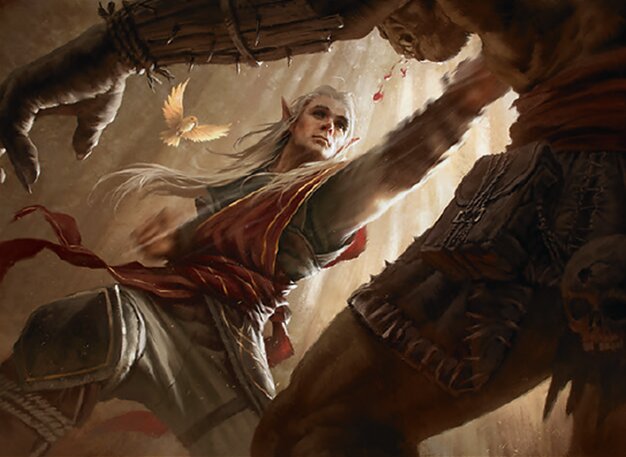 Monk of the Open Hand