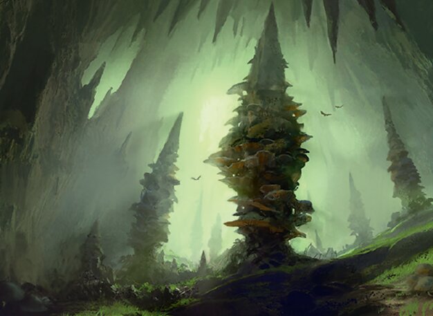 Wald