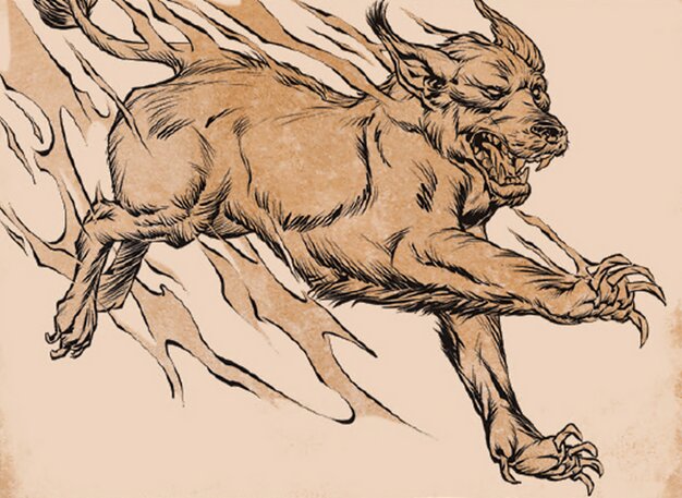 Flimmerhund