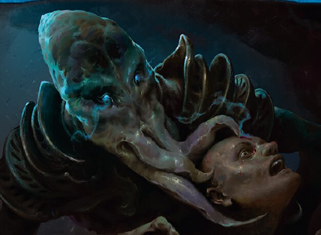 Grazilaxx, Illithiden-Gelehrter
