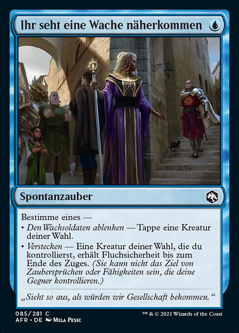 Ihr seht eine Wache näherkommen