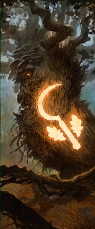 A-Druid Class