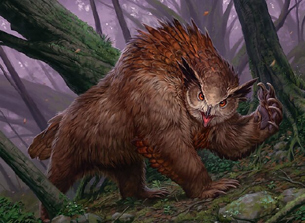 Oso lechuza